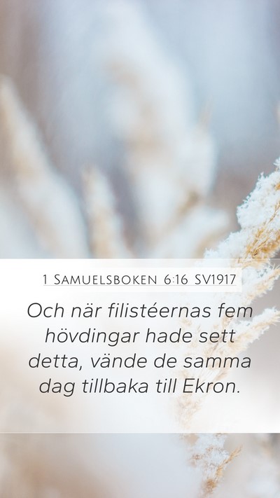 1 Samuelsboken 6:16 SV1917 Bible Verse Image