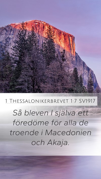 1 Thessalonikerbrevet 1:7 SV1917 Bible Verse Image