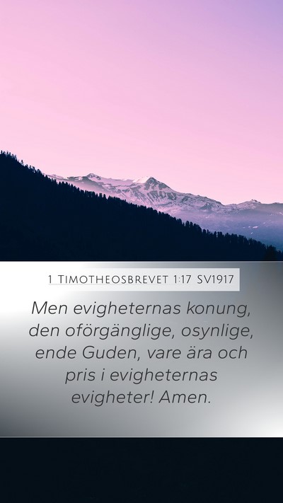 1 Timotheosbrevet 1:17 SV1917 Bible Verse Image