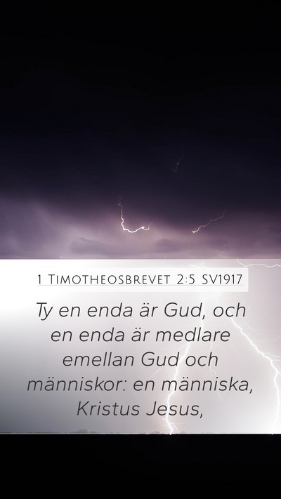 1 Timotheosbrevet 2:5 SV1917 Bible Verse Image