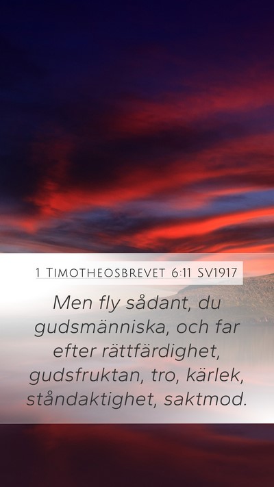 1 Timotheosbrevet 6:11 SV1917 Bible Verse Image