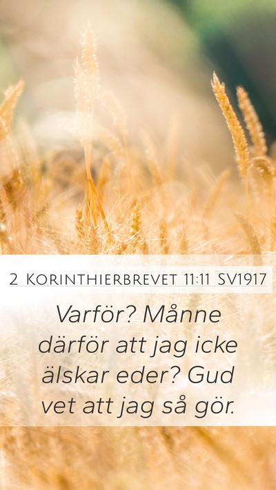 2 Korinthierbrevet 11:11 SV1917 Bible Verse Image