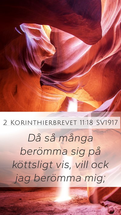 2 Korinthierbrevet 11:18 SV1917 Bible Verse Image