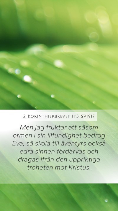 2 Korinthierbrevet 11:3 SV1917 Bible Verse Image