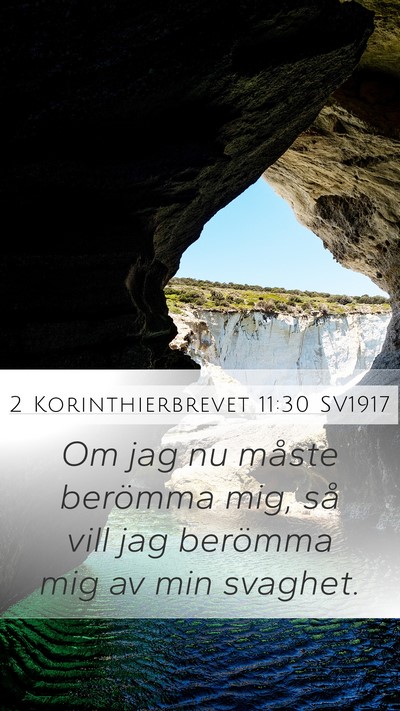 2 Korinthierbrevet 11:30 SV1917 Bible Verse Image