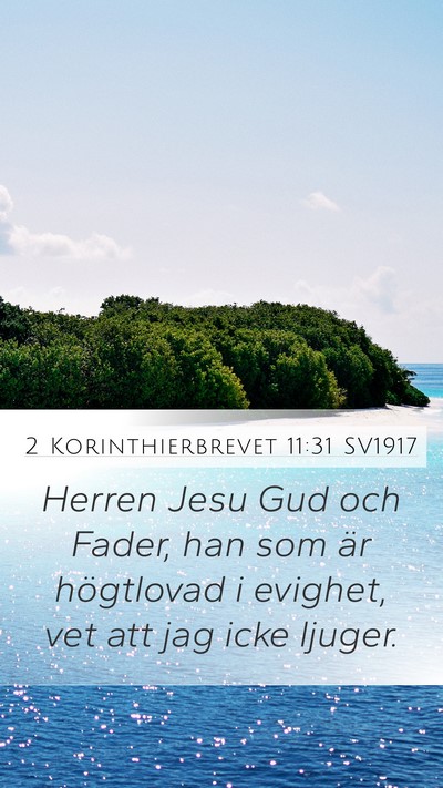 2 Korinthierbrevet 11:31 SV1917 Bible Verse Image