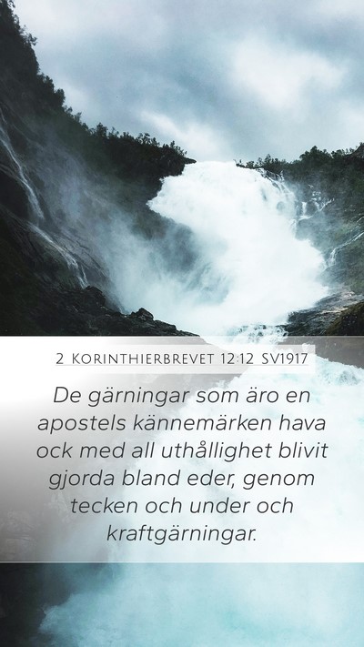 2 Korinthierbrevet 12:12 SV1917 Bible Verse Image