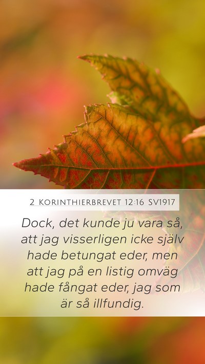 2 Korinthierbrevet 12:16 SV1917 Bible Verse Image