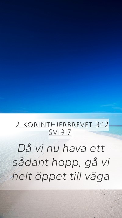 2 Korinthierbrevet 3:12 SV1917 Bible Verse Image
