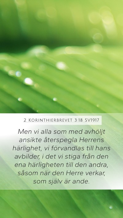 2 Korinthierbrevet 3:18 SV1917 Bible Verse Image
