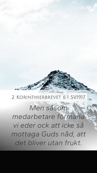 2 Korinthierbrevet 6:1 SV1917 Bible Verse Image