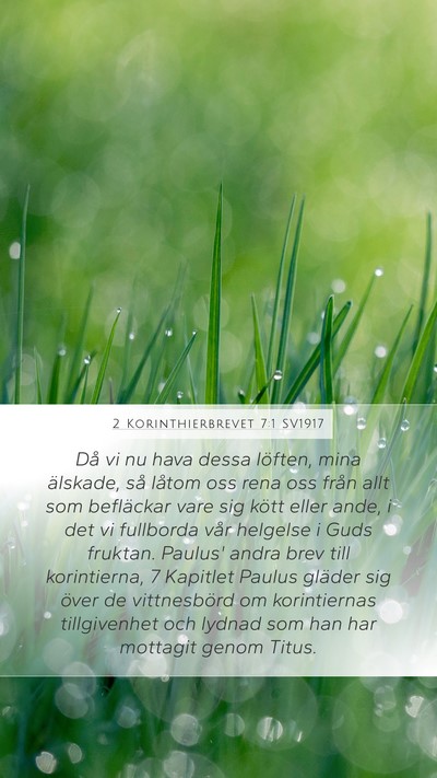 2 Korinthierbrevet 7:1 SV1917 Bible Verse Image