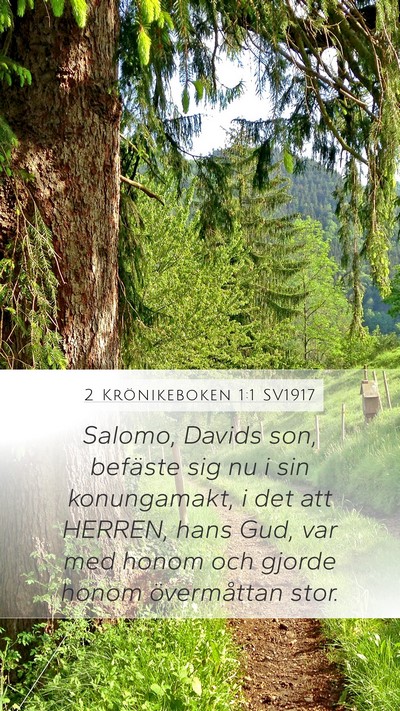 2 Krönikeboken 1:1 SV1917 Bible Verse Image