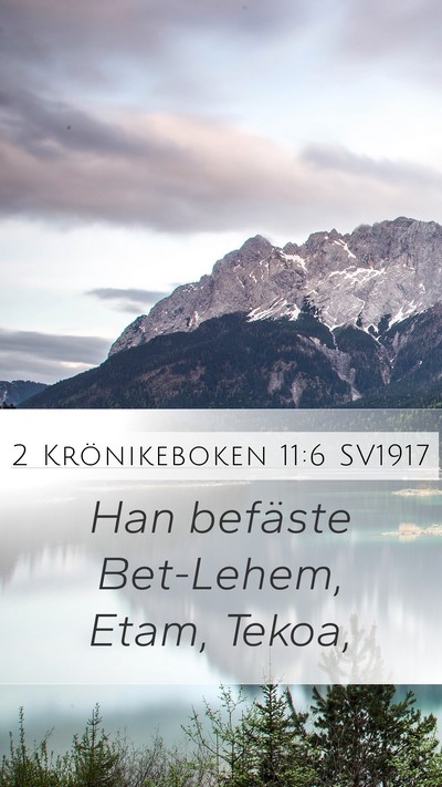 2 Krönikeboken 11:6 SV1917 Bible Verse Image