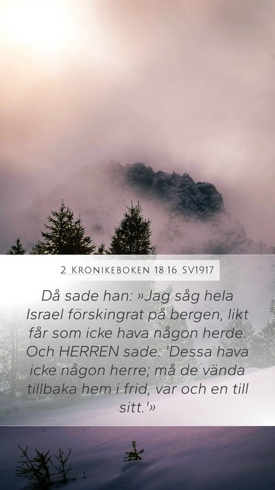 2 Krönikeboken 18:16 SV1917 Bible Verse Image