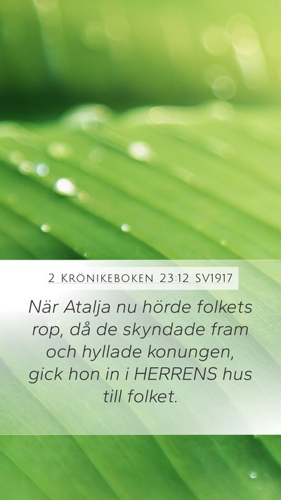 2 Krönikeboken 23:12 SV1917 Bible Verse Image