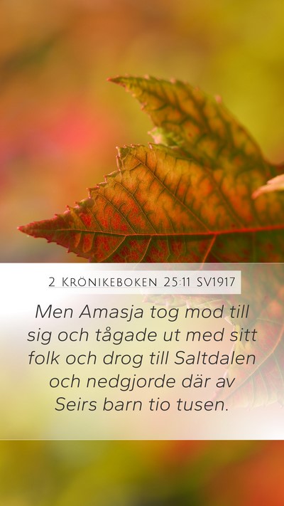 2 Krönikeboken 25:11 SV1917 Bible Verse Image