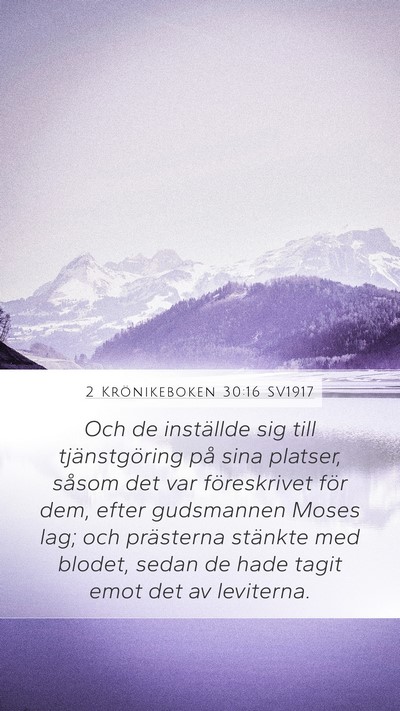 2 Krönikeboken 30:16 SV1917 Bible Verse Image
