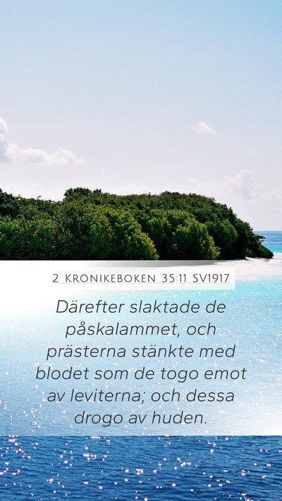 2 Krönikeboken 35:11 SV1917 Bible Verse Image
