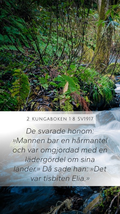 2 Kungaboken 1:8 SV1917 Bible Verse Image