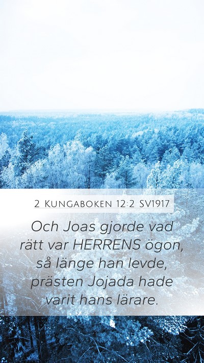 2 Kungaboken 12:2 SV1917 Bible Verse Image