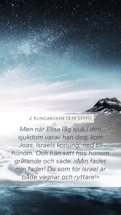 2 Kungaboken 13:14 SV1917 Bible Verse Image