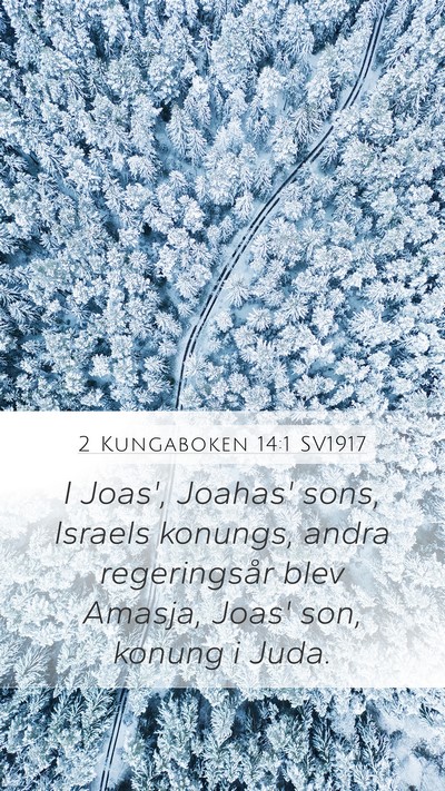 2 Kungaboken 14:1 SV1917 Mobile Phone Wallpaper - I Joas', Joahas' sons, Israels konungs, andra - Mobile Bible Verse Wallpaper