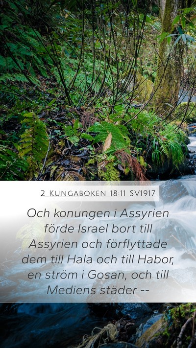 2 Kungaboken 18:11 SV1917 Bible Verse Image
