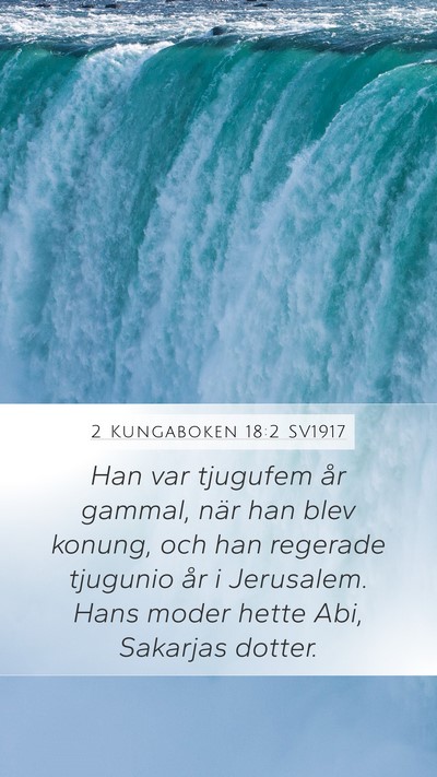 2 Kungaboken 18:2 SV1917 Bible Verse Image