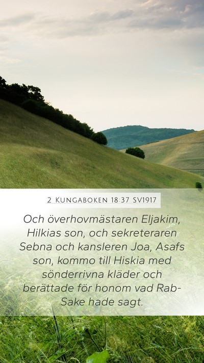 2 Kungaboken 18:37 SV1917 Bible Verse Image