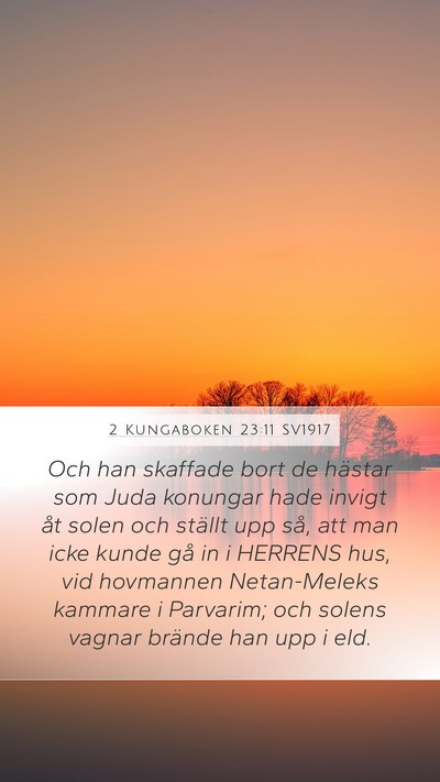 2 Kungaboken 23:11 SV1917 Bible Verse Image