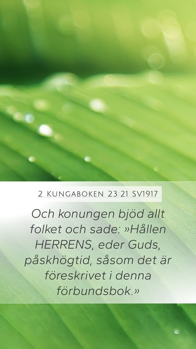 2 Kungaboken 23:21 SV1917 Bible Verse Image