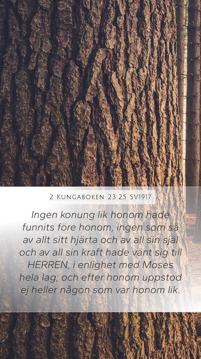 2 Kungaboken 23:25 SV1917 Bible Verse Image