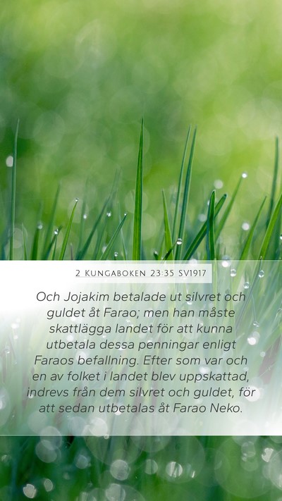 2 Kungaboken 23:35 SV1917 Bible Verse Image