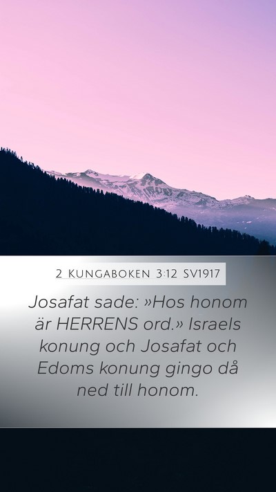 2 Kungaboken 3:12 SV1917 Bible Verse Image