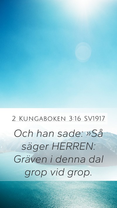 2 Kungaboken 3:16 SV1917 Bible Verse Image