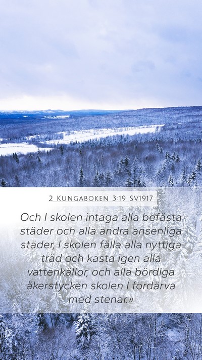 2 Kungaboken 3:19 SV1917 Mobile Phone Wallpaper - Och I skolen intaga alla befästa städer och - Mobile Bible Verse Wallpaper