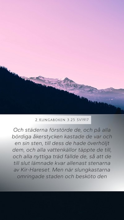 2 Kungaboken 3:25 SV1917 Bible Verse Image