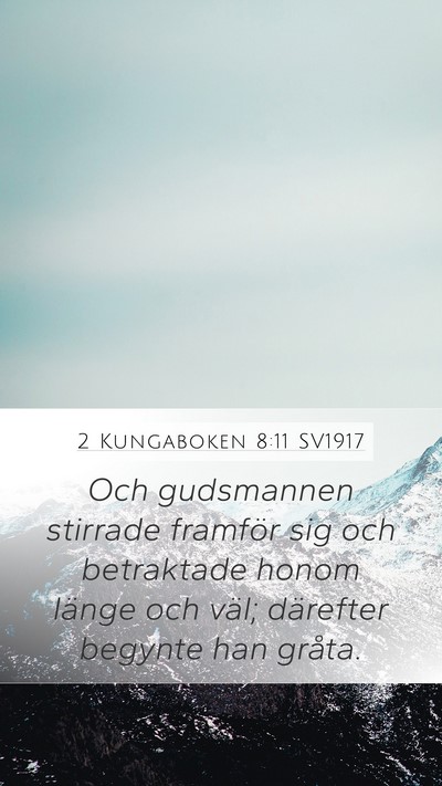 2 Kungaboken 8:11 SV1917 Bible Verse Image