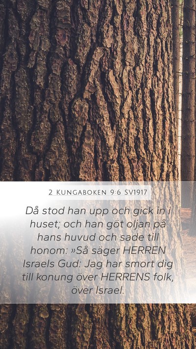 2 Kungaboken 9:6 SV1917 Bible Verse Image