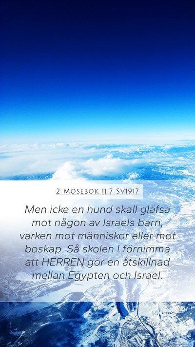2 Mosebok 11:7 SV1917 Bible Verse Image