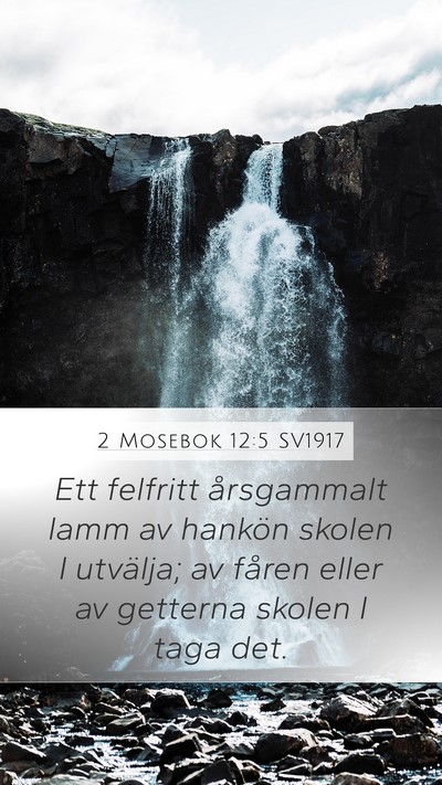 2 Mosebok 12:5 SV1917 Bible Verse Image