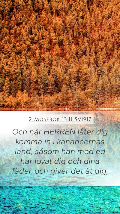2 Mosebok 13:11 SV1917 Mobile Phone Wallpaper - Och när HERREN låter dig komma in i - Mobile Bible Verse Wallpaper