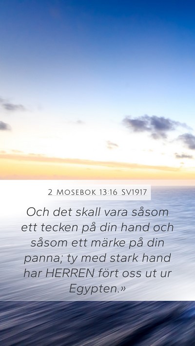 2 Mosebok 13:16 SV1917 Bible Verse Image