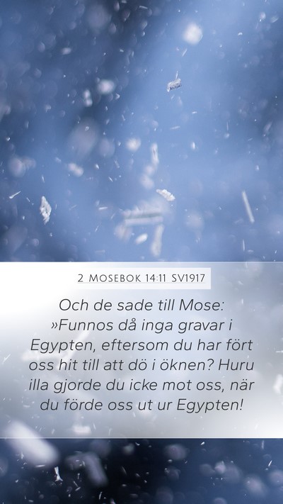 2 Mosebok 14:11 SV1917 Bible Verse Image