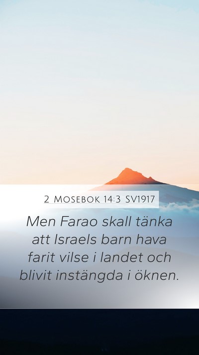 2 Mosebok 14:3 SV1917 Bible Verse Image