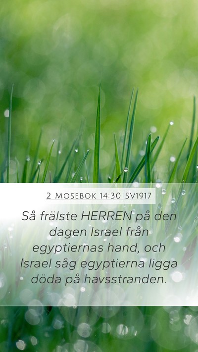 2 Mosebok 14:30 SV1917 Bible Verse Image