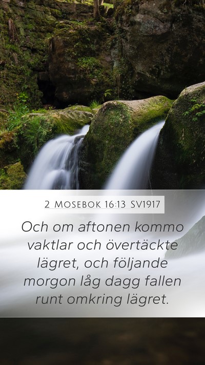 2 Mosebok 16:13 SV1917 Bible Verse Image