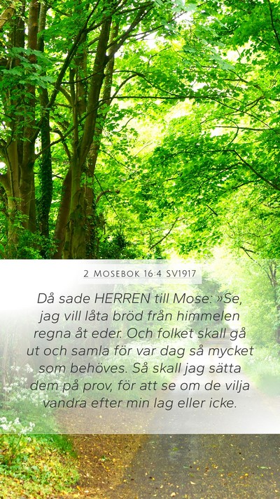 2 Mosebok 16:4 SV1917 Bible Verse Image
