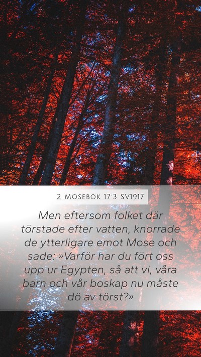 2 Mosebok 17:3 SV1917 Bible Verse Image